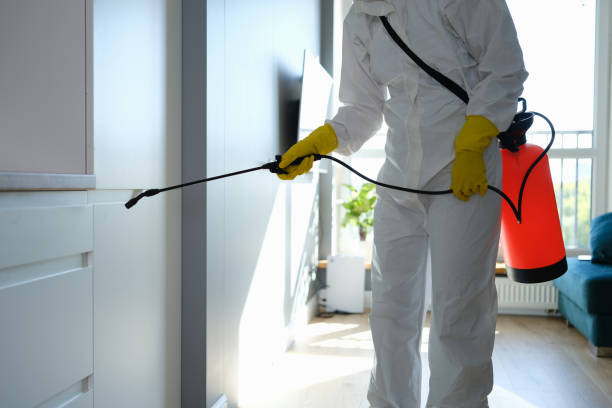 Best Mold Testing  in New Franklin, MO